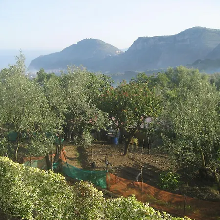 Royal Hills Piano di Sorrento