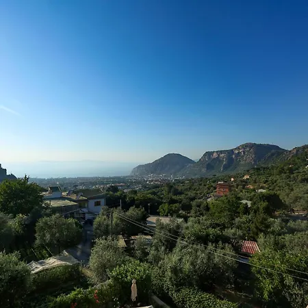 Royal Hills Hotel 4*