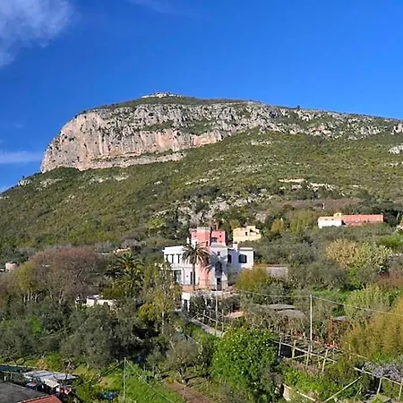 فندق Royal Hills 4*